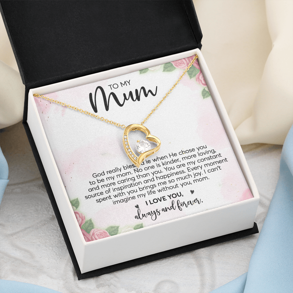 To my Mum - My source of inspiration
